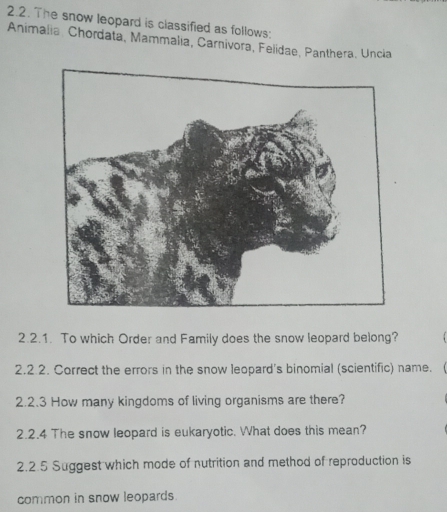 The snow leopard is classified as follows: 
Animalia, Chordata, Mammalia, Carnivora, Felidae, Panthera. Uncia 
2.2.1. To which Order and Family does the snow leopard belong? 
2.2.2. Correct the errors in the snow leopard's binomial (scientific) name. 
2.2.3 How many kingdoms of living organisms are there? 
2.2.4 The snow leopard is eukaryotic. What does this mean? 
2.2.5 Suggest which mode of nutrition and method of reproduction is 
common in snow leopards.