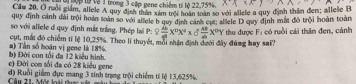 uị ộp từ về 1 trong 3 cặp gene chiếm tỉ lệ 22,75%.
Câu 20. Ở ruồi giấm, allele A quy định thân xám trội hoàn toàn so với allele a quy định thân đen; allele B
quy định cánh dài trội hoàn toàn so với allele b quy định cánh cụt; allele D quy định mắt đỏ trội hoàn toàn
so với allele d quy định mắt trắng. Phép lai P: Q Ab/aB X^DX^d*  ^A AB/ab X^DY thu được F_1 có ruồi cái thân đen, cánh
cụt, mắt đỏ chiếm tỉ lệ 10, 25%. Theo lí thuyết, mỗi nhận định dưới đây đúng hay sai?
a) Tần số hoán vị gene là 18%.
b) Đời con tối đa 12 kiểu hình.
c) Đời con tối đa có 28 kiểu gene
d) Ruồi giấm đực mang 3 tính trạng trội chiếm tỉ lệ 13,625%.
Câu 21. Một loài thực vô