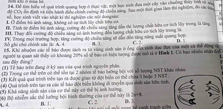 hơn khi ở mùa hè,
14. Để tìm hiều về quá trình quang hợp ở thực vật, một học sinh đưa một cây vào chuông thủy tinh có nò Pl
1 CO_2 ổn định và tiến hành điều chính cường độ chiếu sáng. Sau một thời gian làm thí nghiệm, đo các thờn
K
số, học sinh viết vào nhật kí thí nghiệm các nội dungsau:
H
I. Ở điểm bù ánh sáng, không có sự tích lũy chất hữu cơ.
II. Tính từ điểm bù ánh sáng, cường độ chiếu sáng tăng dần thì lượng chất hữu cơ tích lũy trong lá tăng. kl
III. Thay đổi cường độ chiếu sáng có ảnh hưởng đến lượng chất hữu cơ tích lũy trong lá.
IV. Trong mọi trường hợp, tăng cường độ chiếu sáng sẽ dẫn đến tăng năng suất quang hợp.
Số ghi chú chính xác là: A. 4. B. 3. C. 2. D. 1.
15. Khi nhuộm các tế bảo được tách ra từ vùng sinh sản ở ống dẫn sinh dục đực của một cá thể động và
người ta quan sát thấy có khoảng 20% số tế bào có hiện tượng được mô tả ở Hình 1. Có bao nhiêu nhận đị Có
I.
sau đây đúng?
(1) Tế bảo trên đang ở kỳ sau của quá trình nguyên phân.
(2) Trong cơ thể trên có thể tồn tại 2 nhóm tế bảo lưỡng bội với số lượng NST khác nhau.
  
(3) Kết quả quá trình trên tạo ra được giao tử đột biển có thể chứa 3 hoặc 5 NST.
(4) Quá trình trên tạo ra các tế bào đột biến không di truyền qua sinh sản hữu tính.
(5) Khả năng sinh sản của cơ thể này có thể bị ảnh hưởng.
(6) Bộ nhiễm sắc thể lưỡng bội bình thường của cơ thể này là 2n=8.
A. 4. B. 1. C. 2. D. 3.
về mối quan hệ canh tranh giữa