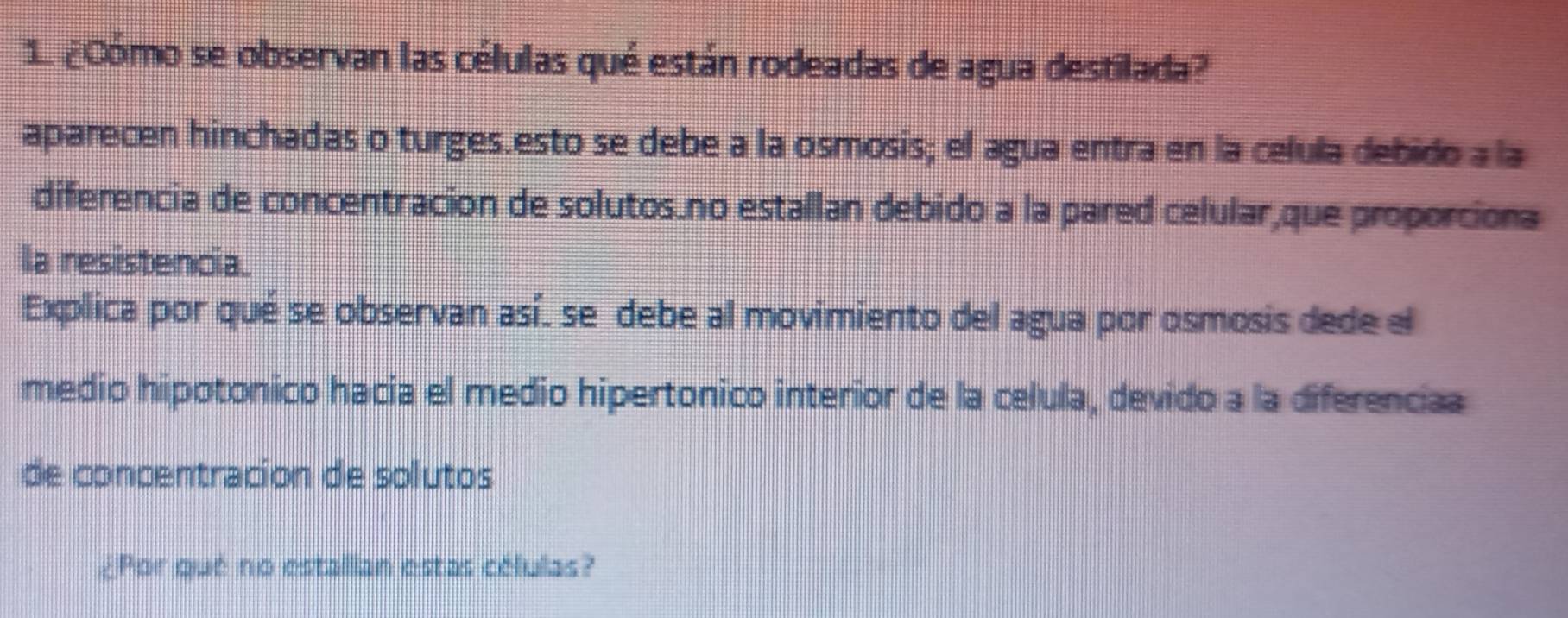 ¿Cómo se observan las células qué están rodeadas de agua destilada? 
aparecen hinchadas o turges.esto se debe a la osmosis; el agua entra en la celula debido a la 
diferencia de concentracion de solutos.no estallan debido a la pared celular,que proporciona 
la resistencia. 
Explica por qué se observan así. se debe al movimiento del agua por osmosis dede el 
medio hipotonico hacia el medio hipertonico interior de la celula, devido a la diferenciaa 
de concentracion de solutos 
¿Por qué no estallian estas células?