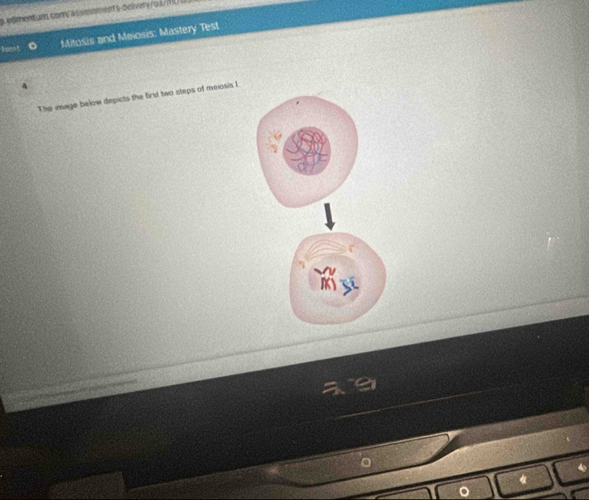 a edmentum comas vessments-delivery/ o a. m 
bon t o Mitosis and Meiosis: Mastery Test 
4 
The mage below depicts the first two steps of meiosis I.