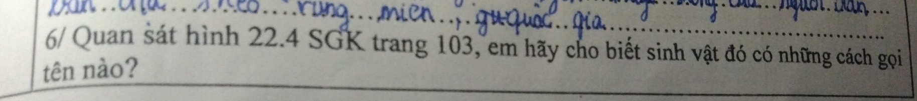 6/ Quan sát hình 22.4 SGK trang 103, em hãy cho biết sinh vật đó có những cách gọi 
tên nào?