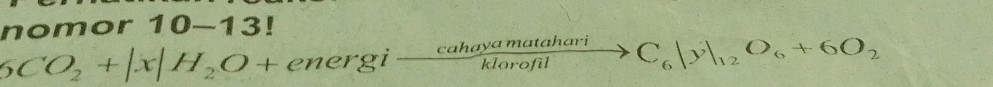 nomor 10-13! 
6CO_2+|x|H_2O+energixrightarrow cahayamatahariklo_6|y|_12C_6|y|_12O_6+6O_2