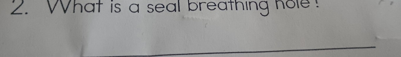 What is a seal breathing hole!