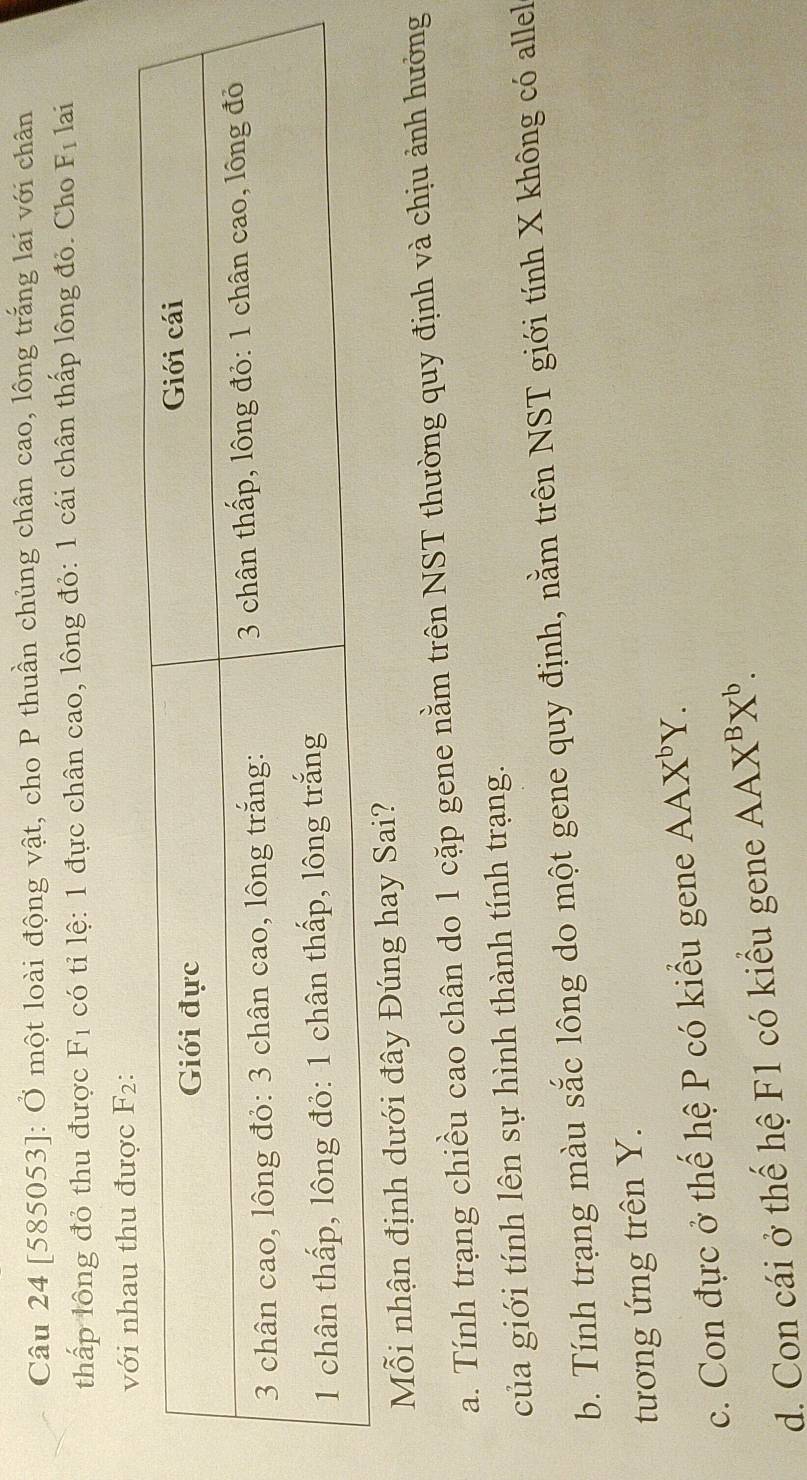 [585053]: Ở một loài động vật, cho P thuần chủng chân cao, lông trắng lai với chân
thấp lông đỏ thu được F_1 có tỉ lệ: 1 đực chân cao, lông đỏ: 1 cái chân thấp lông đỏ. Cho F_1 lai
hau thu được F_2 : 
Mỗi nhận định dưới đây Đúng hay Sai?
a. Tính trạng chiều cao chân do 1 cặp gene nằm trên NST thường quy định và chịu ảnh hưởng
của giới tính lên sự hình thành tính trạng.
b. Tính trạng màu sắc lông do một gene quy định, nằm trên NST giới tính X không có allel
tương ứng trên Y.
c. Con đực ở thế hệ P có kiểu gene AAX^bY.
d. Con cái ở thế hệ F1 có kiểu gene AAX^BX^b.