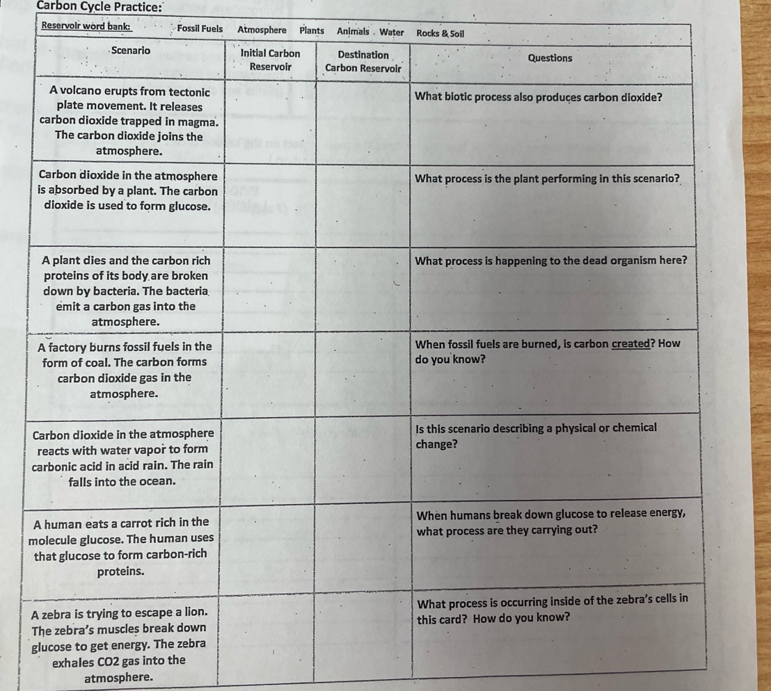 Carbon Cycle Practice: 
Reservoir word bank: Fossil Fuels Atmosphere Plants Animals . Water Rocks & Soil 
c
m
A 
T 
g 
exhales CO2 gas into the 
atmosphere.