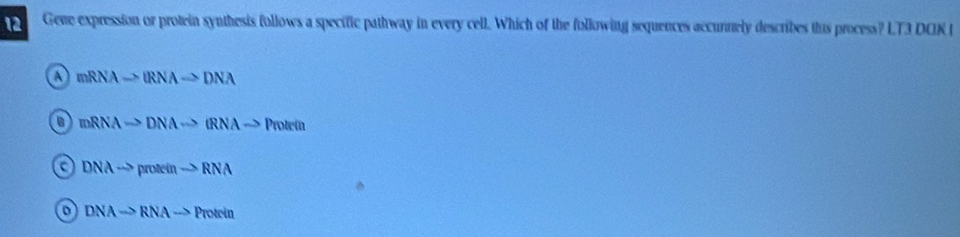 Gene expression or protein synthesis follows a specific pathway in every cell. Which of the following sequences accunnely describes thus process? LT3 DCK I
a mRNAto IRNAto DNA
a mRNAto DNAto (RNAto Prolein
DNAto proteinto RNA
DNARightarrow RNAto Protrin