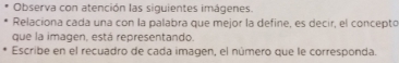 Observa con atención las siguientes imágenes. 
Relaciona cada una con la palabra que mejor la define, es decir, el concepto 
que la imagen, está representando 
Escribe en el recuadro de cada imagen, el número que le corresponda.