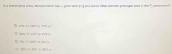 In a monohybrid cross, Mendel mated two F - generation (Yy) pea plants. What was the genotypic ratio in the F_2 generation?
25% YX 50% r 25% yy
50% YY 25% Y 25% ) y
0% 1X 100% Vx 0% x5
25% Y); 25% lj ( 50% ) y