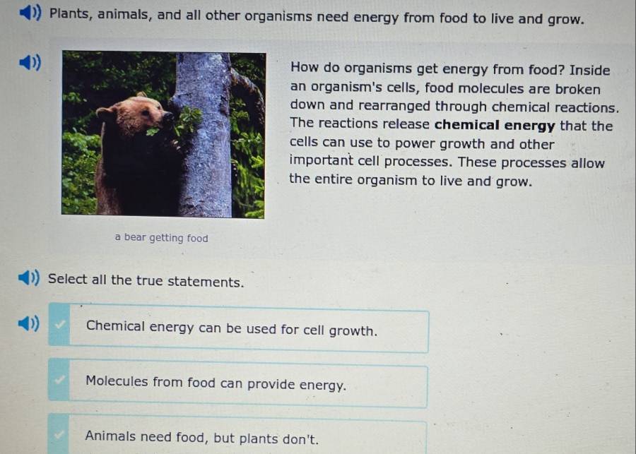 Plants, animals, and all other organisms need energy from food to live and grow.
How do organisms get energy from food? Inside
an organism's cells, food molecules are broken
down and rearranged through chemical reactions.
The reactions release chemical energy that the
cells can use to power growth and other
important cell processes. These processes allow
the entire organism to live and grow.
a bear getting food
Select all the true statements.
Chemical energy can be used for cell growth.
Molecules from food can provide energy.
Animals need food, but plants don't.