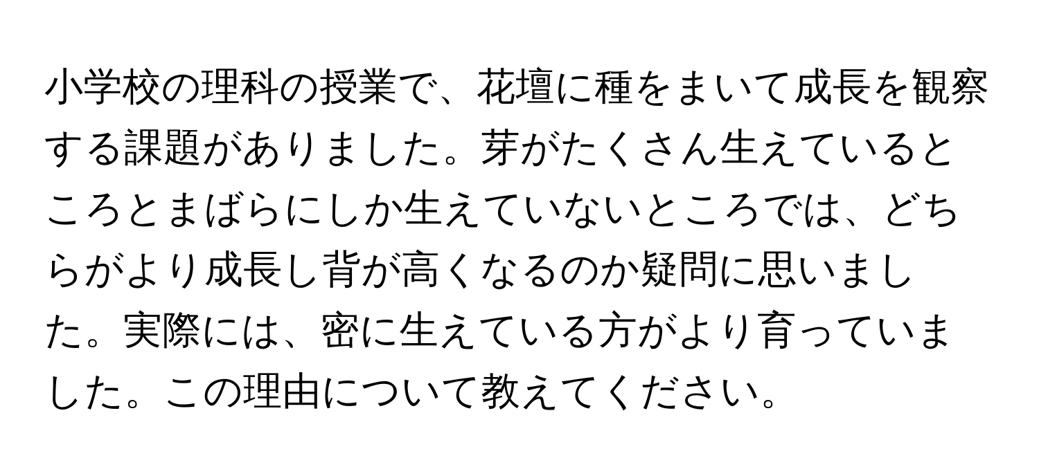 小学校の理科の授業で、花壇に種をまいて成長を観察する課題がありました。芽がたくさん生えているところとまばらにしか生えていないところでは、どちらがより成長し背が高くなるのか疑問に思いました。実際には、密に生えている方がより育っていました。この理由について教えてください。