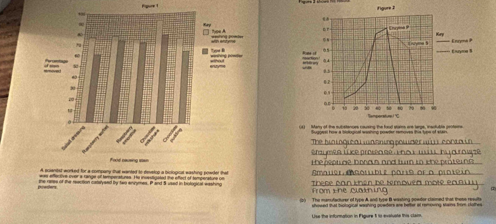 Figure 1 




Suggest how a biological washing powder removes this type of stain. 
_ 
enz 
HY_ 
_ 
f temperatures. He investigated the effect of temperature on 
These 
the rates of the reaction catalysed by two enzymes, P and S used in biological washing _(2 
powders From the Cl 
(b) The manufacturer of type A and type B washing powder claimed that these results 
showed that biological washing powders are better at removing stains from clothes 
Use the information in Figure 1 to evaluate this claim