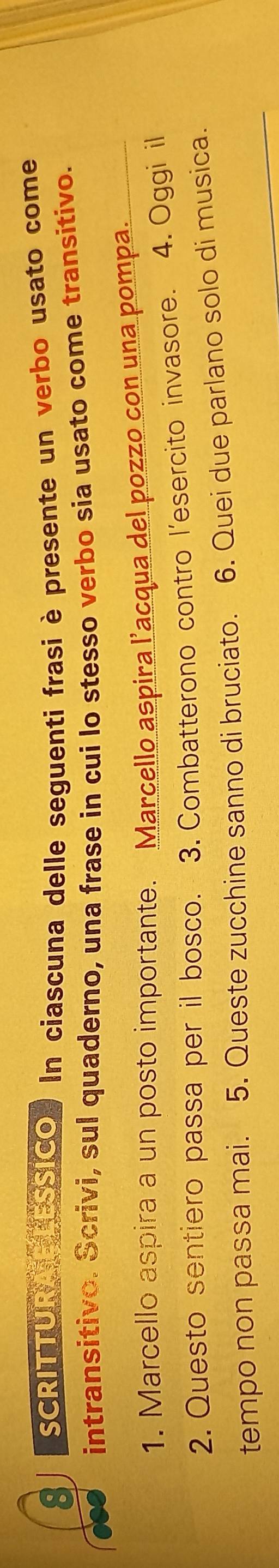 SCRITTURA FESSICO. In ciascuna delle seguenti frasi è presente un verbo usato come 
intransitivo. Scrivi, sul quaderno, una frase in cui lo stesso verbo sia usato come transitivo. 
1. Marcello aspira a un posto importante. Marcello aspira l’acqua del pozzo con una pompa. 
2. Questo sentiero passa per il bosco. 3. Combatterono contro l’esercito invasore. 4. Oggi il 
tempo non passa mai. 5. Queste zucchine sanno di bruciato. 6. Quei due parlano solo di musica.