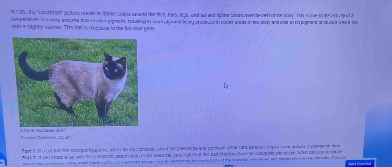 Solved: In cats, the 