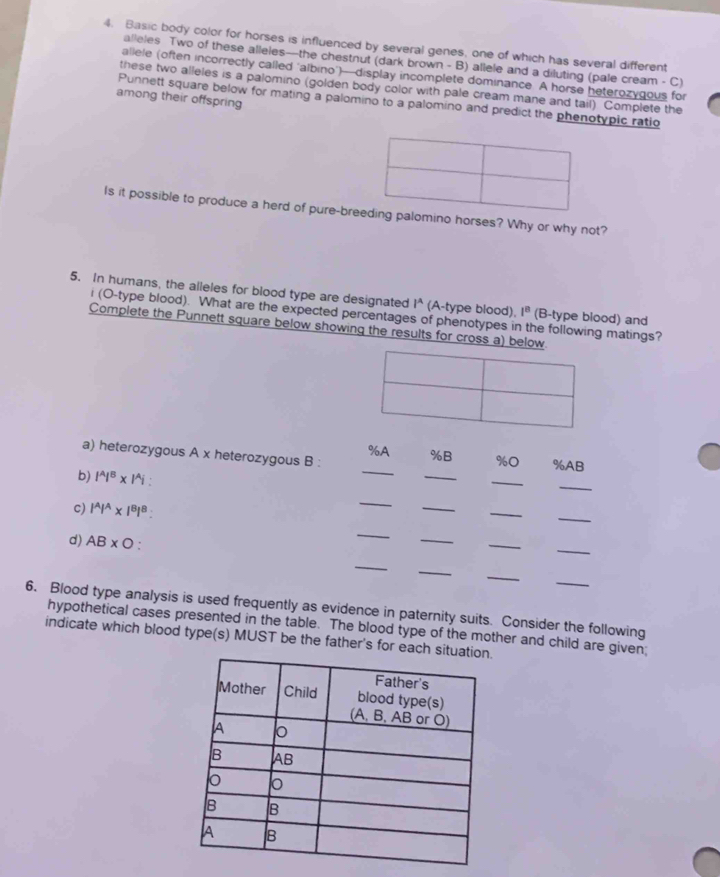 Basic body color for horses is influenced by several genes, one of which has several different 
alleles Two of these alleles—the chestnut (dark brown - B) allele and a diluting (pale cream - C) 
allele (often incorrectly called 'albino')—display incomplete dominance. A horse heterozygous for 
these two alleles is a palomino (golden body color with pale cream mane and tail) Complete the 
among their offspring 
Punnett square below for mating a palomino to a palomino and predict the phenotypic ratio 
Is it possible to produce a herd of pure-breeding palomino horses? Why or why not? 
5. In humans, the alleles for blood type are designated l^(wedge) (A-type blood), 1^8 (B-type blood) and 
i (O-type blood). What are the expected percentages of phenotypes ir he following matings? 
Complete the Punnett square below showing the results for cross a) below. 
_
% A % B %0
a) heterozygous A x heterozygous B : %AB
b) |^A|^B* |^Ai
_ 
_ 
_ 
c) |^A|^A* |^B|^B
_ 
_ 
_ 
_ 
d) AB* O. 
_ 
_ 
_ 
_ 
_ 
_ 
_ 
_ 
6. Blood type analysis is used frequently as evidence in paternity suits. Consider the following 
hypothetical cases presented in the table. The blood type of the mother and child are given; 
indicate which blood type(s) MUST be the father's for each