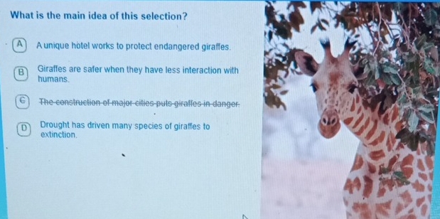 What is the main idea of this selection?
A A unique hotel works to protect endangered giraffes.
B Giraffes are safer when they have less interaction with
humans.
C) The construction of major cities puts giraffes in danger.
D Drought has driven many species of giraffes to
extinction,