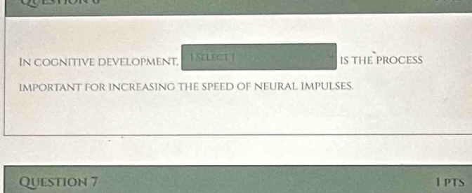 In cognitive development, | SELECU J IS THE ProCesS 
ImpORTANT FOR INCReASING THE SPEED OF NEURAl ImpulsES. 
Question 7 I pts