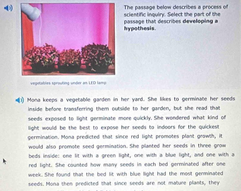 The passage below describes a process of 
scientific inquiry. Select the part of the 
passage that describes developing a 
hypothesis. 
veget 
Mona keeps a vegetable garden in her yard. She likes to germinate her seeds 
inside before transferring them outside to her garden, but she read that 
seeds exposed to light germinate more quickly. She wondered what kind of 
light would be the best to expose her seeds to indoors for the quickest 
germination. Mona predicted that since red light promotes plant growth, it 
would also promote seed germination. She planted her seeds in three grow 
beds inside: one lit with a green light, one with a blue light, and one with a 
red light. She counted how many seeds in each bed germinated after one 
week. She found that the bed lit with blue light had the most germinated 
seeds. Mona then predicted that since seeds are not mature plants, they