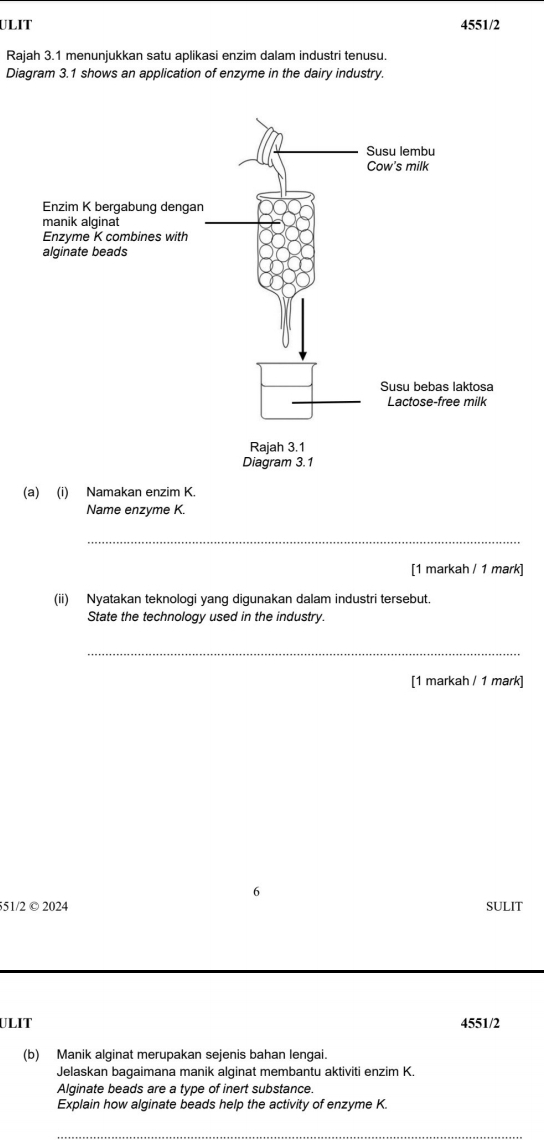 ULIT 4551/2 
Rajah 3.1 menunjukkan satu aplikasi enzim dalam industri tenusu. 
Diagram 3.1 shows an application of enzyme in the dairy industry. 
(a) (i) Namakan enzim K. 
Name enzyme K. 
_ 
[1 markah / 1 mark] 
(ii) Nyatakan teknologi yang digunakan dalam industri tersebut. 
State the technology used in the industry. 
_ 
[1 markah / 1 mark] 
6 
551/2 © 2024 SULIT 
ULIT 4551/2 
(b) Manik alginat merupakan sejenis bahan lengai. 
Jelaskan bagaimana manik alginat membantu aktiviti enzim K. 
Alginate beads are a type of inert substance. 
Explain how alginate beads help the activity of enzyme K.