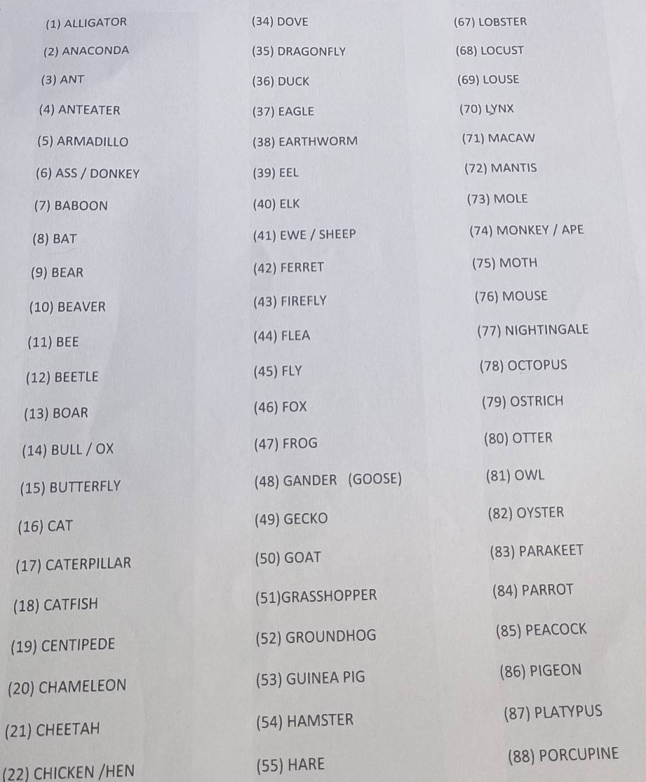 (1) ALLIGATOR (34) DOVE (67) LOBSTER 
(2) ANACONDA (35) DRAGONFLY (68) LOCUST 
(3) ANT (36) DUCK (69) LOUSE 
(4) ANTEATER (37) EAGLE (70) LYNX 
(5) ARMADILLO (38) EARTHWORM (71) MACAW 
(6) ASS / DONKEY (39) EEL (72) MANTIS 
(7) BABOON (40) ELK (73) MOLE 
(8) BAT (41) EWE / SHEEP (74) MONKEY / APE 
(9) BEAR (42) FERRET (75) MOTH 
(10) BEAVER (43) FIREFLY (76) MOUSE 
(11) BEE (44) FLEA (77) NIGHTINGALE 
(12) BEETLE (45) FLY (78) OCTOPUS 
(13) BOAR (46) FOX (79) OSTRICH 
(14) BULL / OX (47) FROG (80) OTTER 
(15) BUTTERFLY (48) GANDER (GOOSE) (81) OWL 
(16) CAT (49) GECKO (82) OYSTER 
(17) CATERPILLAR (50) GOAT (83) PARAKEET 
(18) CATFISH (51)GRASSHOPPER (84) PARROT 
(19) CENTIPEDE (52) GROUNDHOG (85) PEACOCK 
(20) CHAMELEON (53) GUINEA PIG (86) PIGEON 
(21) CHEETAH (54) HAMSTER (87) PLATYPUS 
(22) CHICKEN /HEN (55) HARE (88) PORCUPINE