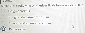 Solved: Which of the following synthesizes lipids in eukaryotic cells ...