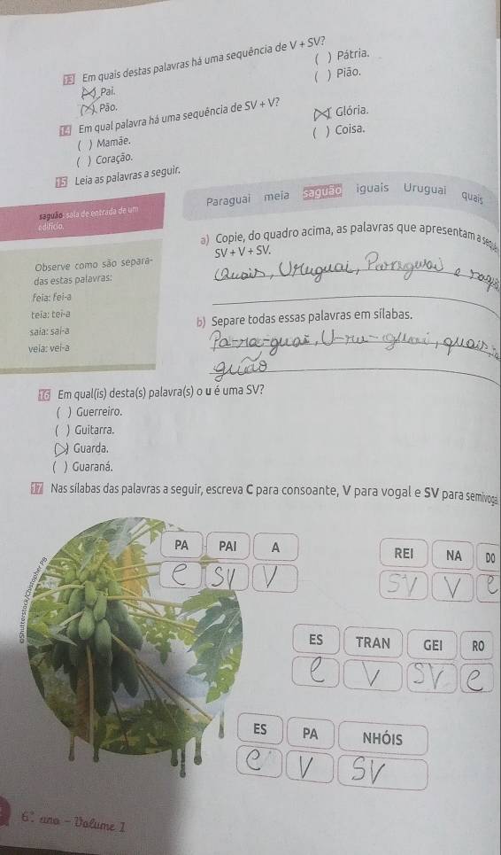  ) Pátria.
Em quais destas palavras há uma sequência de V+S
 ) Pião.
Pai.
Pão.
Glória.
Em qual palavra há uma sequência de SV+V 7
(
 ) Mamãe. ) Coisa.
 ) Coração.
Leia as palavras a seguir.
seguão: sala de entrada de um Paraguai meia saguão iguais Uruguai quais
edifício.
a) Copie, do quadro acima, as palavras que apresentam a sege
Observe como são separa- SV+V+SV. 
das estas palavras:
_
feia: fei-a
teía: teï-a
_
_
saía: saí-a b) Separe todas essas palavras em sílabas.
vela: vei-a
_
_
Em qual(is) desta(s) palavra(s) o u é uma SV?
) Guerreiro.
( ) Guitarra.
Guarda.
( ) Guaraná.
17 Nas sílabas das palavras a seguir, escreva C para consoante, V para vogal e SV para semivoga
PA PAI A REI NA DO
ES TRAN GEI RO
ES PA nhóis
6. ano - Volume 1