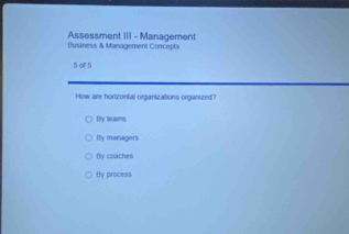 Assessment III - Management Business & Management Concepts
5 of 5
How are horizontal organizations organized?
By teams
By managers
By coaches
By process