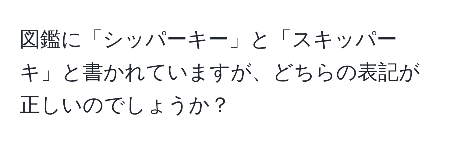 図鑑に「シッパーキー」と「スキッパーキ」と書かれていますが、どちらの表記が正しいのでしょうか？