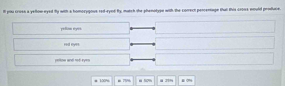 If you cross a yellow-eyed fly with a homozygous red-eyed fly, match the phenotype with the correct percentage that this cross would produce.
yellow eyes
red eyes
yellow and red eyes
:: 100% : 75% : 50% : 25% :: 0%