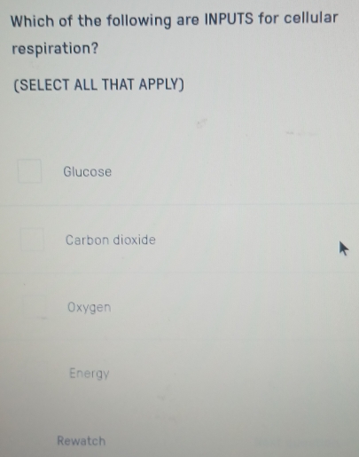 Which of the following are INPUTS for cellular
respiration?
(SELECT ALL THAT APPLY)
Glucose
Carbon dioxide
Oxygen
Energy
Rewatch