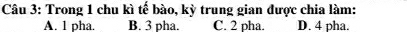 Trong 1 chu kì tế bào, kỳ trung gian được chia làm:
A. 1 pha. B. 3 pha. C. 2 pha. D. 4 pha.