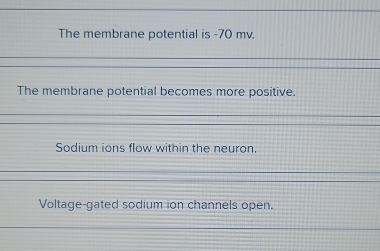 The membrane potential is -70 mv.
The membrane potential becomes more positive.
Sodium ions flow within the neuron.
Voltage-gated sodium ion channels open.