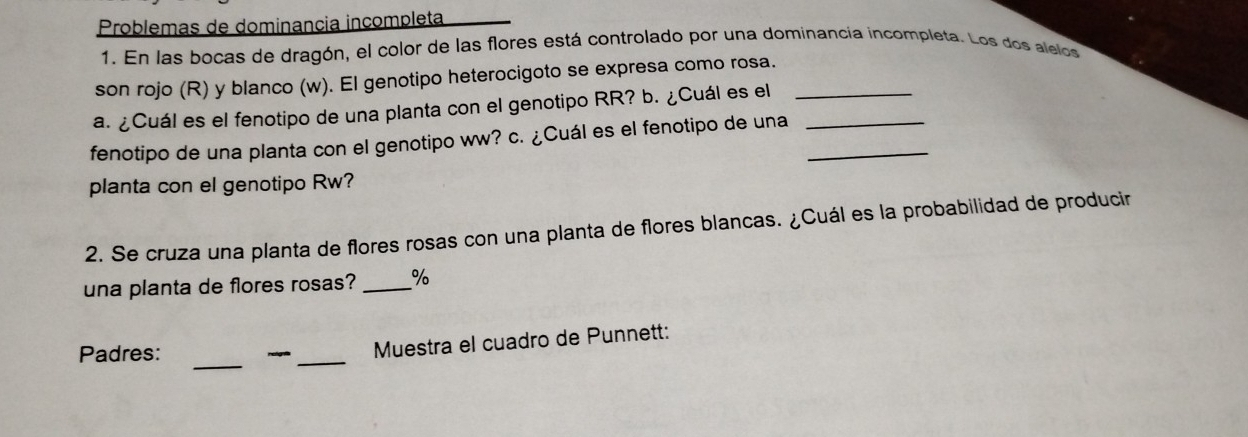 Problemas de dominancia incompleta 
1. En las bocas de dragón, el color de las flores está controlado por una dominancia incompleta. Los dos alelos 
son rojo (R) y blanco (w). El genotipo heterocigoto se expresa como rosa. 
a. ¿Cuál es el fenotipo de una planta con el genotipo RR? b. ¿Cuál es el_ 
fenotipo de una planta con el genotipo ww? c. ¿Cuál es el fenotipo de una__ 
planta con el genotipo Rw? 
2. Se cruza una planta de flores rosas con una planta de flores blancas. ¿Cuál es la probabilidad de producir 
una planta de flores rosas? _% 
_ 
Padres: reigría _Muestra el cuadro de Punnett: