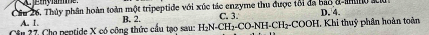 A JEthylamie.
Cầâu 26. Thủy phân hoàn toàn một tripeptide với xúc tác enzyme thu được tối đa bao α-amino ac D. 4.
A. 1. B. 2. C. 3.
Câu 27. Cho peptide X có công thức cấu tạo sau: H_2N-CH_2-CO-NH-CH_2-COOH. Khi thuỷ phân hoàn toàn