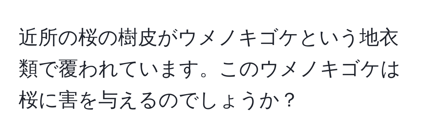 近所の桜の樹皮がウメノキゴケという地衣類で覆われています。このウメノキゴケは桜に害を与えるのでしょうか？