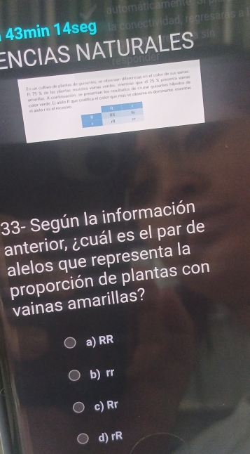 43min 14seg
ENCIAS NATURALES
En un cultivo de plants de guisantes, se obuervan diferencias en el color de sus vaimas
El 75 % díe las plantas muestra vainas verdes, mentras que el 25 % pomenta vainas
amarifas. A continuación, se presentan los resritarios de crumae quisantes hbedos de
color verde. El aóolo il qica el color que más se observa es domeante, mientrasel áñelo r es el recesivo
33- Según la información
anterior, ¿cuál es el par de
alelos que representa la
proporción de plantas con
vainas amarillas?
a) RR
b) rr
c) Rr
d) rR