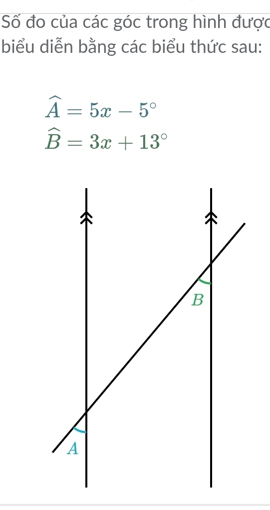 Số đo của các góc trong hình được 
biểu diễn bằng các biểu thức sau:
widehat A=5x-5°
widehat B=3x+13°