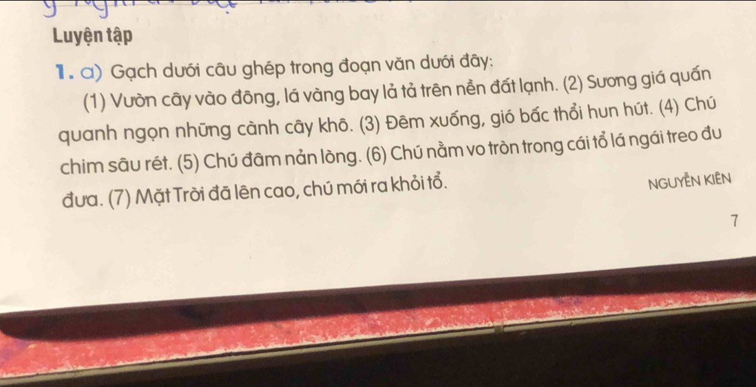 Luyện tập 
1 a) Gạch dưới câu ghép trong đoạn văn dưới đây: 
(1) Vườn cây vào đông, lá vàng bay lả tả trên nền đất lạnh. (2) Sương giá quấn 
quanh ngọn những cành cây khô. (3) Đêm xuống, gió bấc thổi hun hút. (4) Chú 
chim sâu rét. (5) Chú đâm nản lòng. (6) Chú nằm vo tròn trong cái tổ lá ngái treo đu 
đưa. (7) Mặt Trời đã lên cao, chú mới ra khỏi tổ. 
NGUYÊN KIÊN 
7