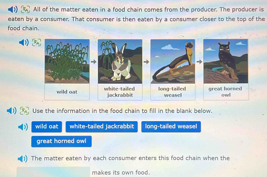 All of the matter eaten in a food chain comes from the producer. The producer is
eaten by a consumer. That consumer is then eaten by a consumer closer to the top of the
food chain.
Use the information in the food chain to fill in the blank below.
wild oat white-tailed jackrabbit long-tailed weasel
great horned owl
The matter eaten by each consumer enters this food chain when the
makes its own food.