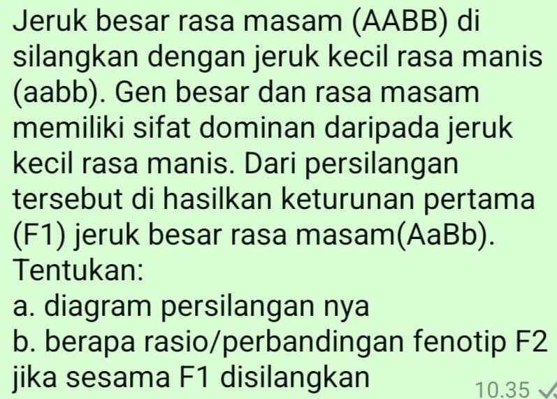 Jeruk besar rasa masam (AABB) di 
silangkan dengan jeruk kecil rasa manis 
(aabb). Gen besar dan rasa masam 
memiliki sifat dominan daripada jeruk 
kecil rasa manis. Dari persilangan 
tersebut di hasilkan keturunan pertama 
(F1) jeruk besar rasa masam(AaBb). 
Tentukan: 
a. diagram persilangan nya 
b. berapa rasio/perbandingan fenotip F2
jika sesama F1 disilangkan
10.35