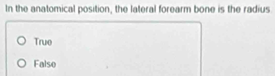 In the anatomical position, the lateral forearm bone is the radius
True
Falso