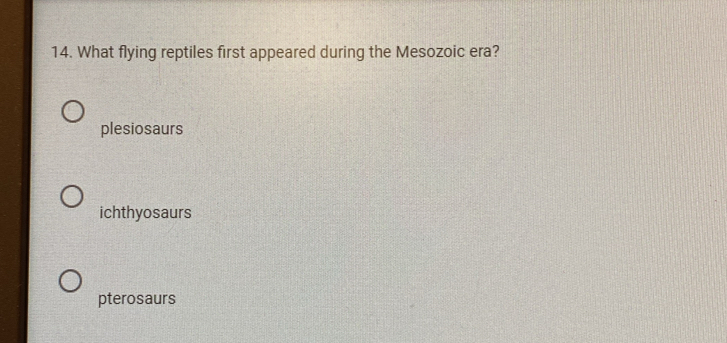 What flying reptiles first appeared during the Mesozoic era?
plesiosaurs
ichthyosaurs
pterosaurs