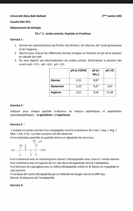 2^(tme)
Université Abou Bekr Belkaid année LMD
Faculté SNV-STU
Département de Biologie
TDn°2 : Acides aminés, Peptides et Protéines
Exercice 1 :
1. Donner les représentations de Fischer des formes L de l'alanine, de l'acide glutamique
et de l’arginine.
2. Décrire pour chacun les différentes formes ioniques en fonction du pH de la solution
et calculer leur pHi.
3. On veut séparer par électrophorèse ces acides aminés. Schématiser la position des
zones à pH=9,5;pH=6,0;pH=2,0.
Exercice 2 :
Indiquer pour chaque peptide ci-dessous les liaisons peptidiques et peptidoïdes
(pseudopeptidique) : Le glutathion ;L'aspartame
Exercice 3 :
L'analyse en acides aminés d'un octapeptide montre la présence de 2 Ala, 1 Asp, 1 Arg, 1
Met, 1 Val, 2 Tyr. Les faits suivants ont été observés :
Une hydrolyse partielle du peptide donne un dipeptide de structure :
Un traitement avec la chymotrypsine donne 2 tétrapeptides avec chacun 1 résidu alanine.
Le traitement avec la trypsine de l'un des deux tétrapeptides donne 2 dipeptides.
Le bromure de cyanogène avec le même tétrapeptide utilisé en © donne un tripeptide et
une tyrosine.
L'analyse de l'autre tétrapeptide par la méthode de Sanger donne le DNP-Asp.
Donner la séquence de l'octapeptide.
Exercice 4: