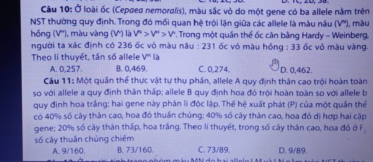 TC, 2D, 38.
Câu 10: Ở loài ốc (Cepaea nemoralis), màu sắc vỏ do một gene có ba allele nằm trên
NST thường quy định. Trong đó mối quan hệ trội lặn giữa các allele là màu nâu (V"), màu
hổng (V '), màu vàng (V) là V^N>V^H>V^v 7. Trong một quần thể ốc cân bằng Hardy - Weinberg,
người ta xác định có 236 ốc vỏ màu nâu : 231 ốc vỏ màu hồng : 33 ốc vỏ màu vàng.
Theo lí thuyết, tần số allele V^H là
A. 0,257. B. 0,469. C. 0,274. D. 0,462.
Câu 11: Một quấn thể thực vật tự thụ phẩn, allele A quy định thân cao trội hoàn toàn
so với allele a quy định thân thấp; allele B quy định hoa đỏ trội hoàn toàn so với allele b
quy định hoa trắng; hai gene này phân li độc lập. Thế hệ xuất phát (P) của một quần thể
có 40% số cây thân cao, hoa đỏ thuần chủng; 40% số cây thân cao, hoa đỏ dị hợp hai cặp
gene; 20% số cây thân thấp, hoa trắng. Theo lí thuyết, trong số cây thân cao, hoa đò ở F
số cây thuấn chủng chiếm
A. 9/160. B. 73/160. C. 73/89. D. 9/89.
a máu MN do bai alllo L M