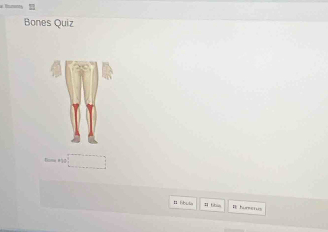 Bones Quiz 
Bome #10 
¤ 6bula : tibia humerus