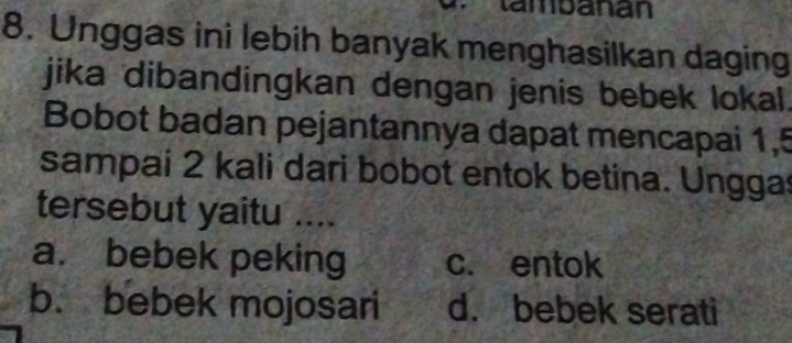 tambanán
8. Unggas ini lebih banyak menghasilkan daging
jika dibandingkan dengan jenis bebek lokal.
Bobot badan pejantannya dapat mencapai 1,5
sampai 2 kali dari bobot entok betina. Unggas
tersebut yaitu ....
a. bebek peking c. entok
b. bebek mojosari d. bebek serati