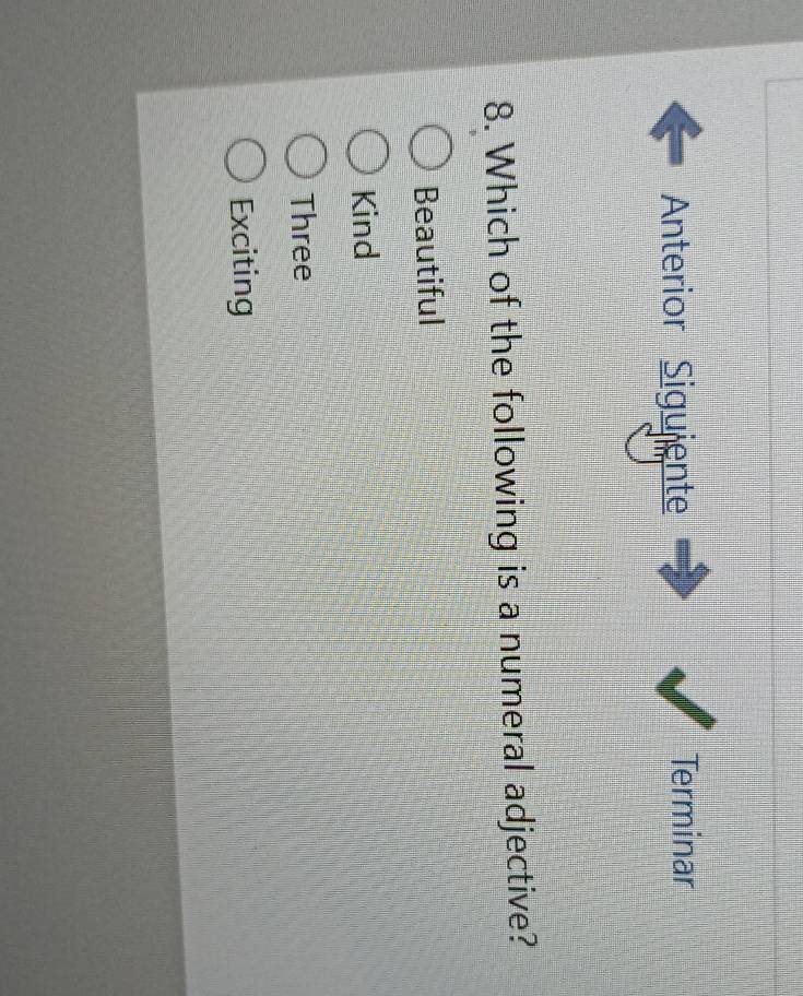 Anterior Sigujente Terminar
8. Which of the following is a numeral adjective?
Beautiful
Kind
Three
Exciting
