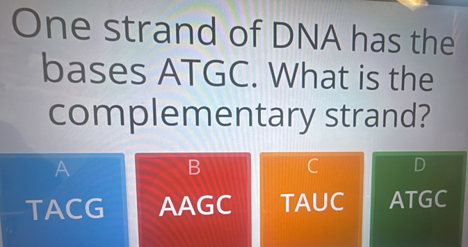 One strand of DNA has the
bases ATGC. What is the
complementary strand?
A
B
C
D
TACG AAGC TAUC ATGC