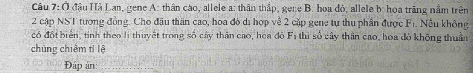 Ở đậu Hà Lan, gene A: thân cáo, allele a: thân thấp; gene B: hoa đỏ, allele b: hoa trắng nằm trên 
2 cặp NST tương đồng. Cho đậu thân cao, hoa đỏ dị hợp về 2 cặp gene tự thụ phần được F_1. Nếu không 
có đột biển, tính theo lí thuyết trong số cây thân cao, hoa đỏ F_1 thì số cây thân cao, hoa đỏ không thuần 
chủng chiếm tỉ lệ 
Đáp án:_