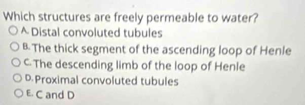 Which structures are freely permeable to water?
A Distal convoluted tubules
B The thick segment of the ascending loop of Henle
C The descending limb of the loop of Henle
D Proximal convoluted tubules
E C and D